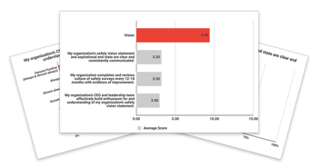 organizational-self-assessment-thumbnail